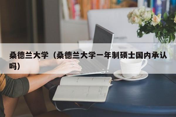 桑德兰大学（桑德兰大学一年制硕士国内承认吗）