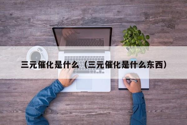 三元催化是什么（三元催化是什么东西）