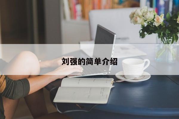 刘强的简单介绍
